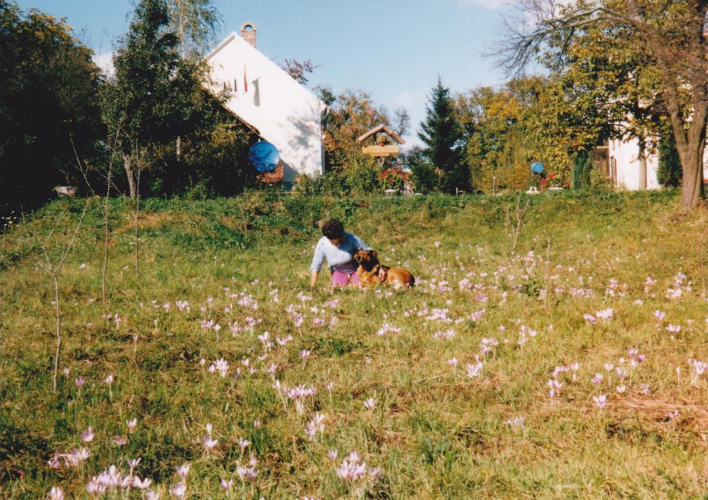 Molnarporta Apartment Szentgyorgyvolgy Bagian luar foto